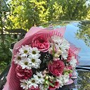 ���� ��������, ������ ��������, 38 ��� - ��������� 5 ������ 2026 � ������ ���� ����������