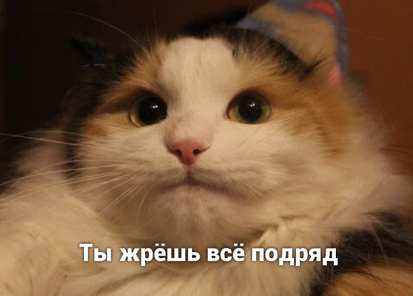  ) - 2