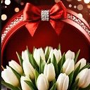 ���� �������, ����, 39 ��� - ��������� 24 ������ 2026 � ������ ���� ����������