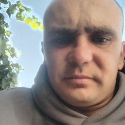 , 26, 