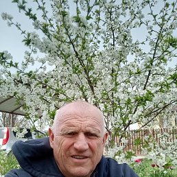, 66, --