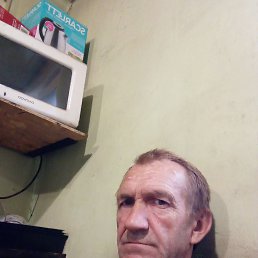 , 54, 