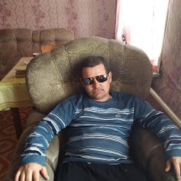 �����, 41 ���, ����