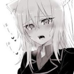 , , 23 