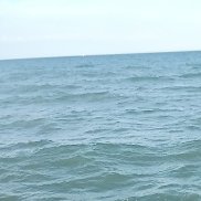 ���������, 43 ����, ������