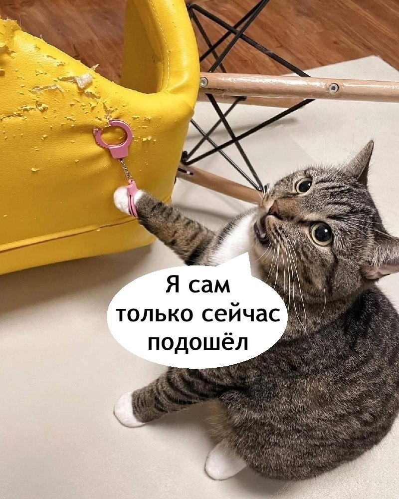  ... - 3