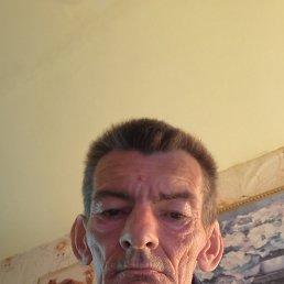 , 53, 