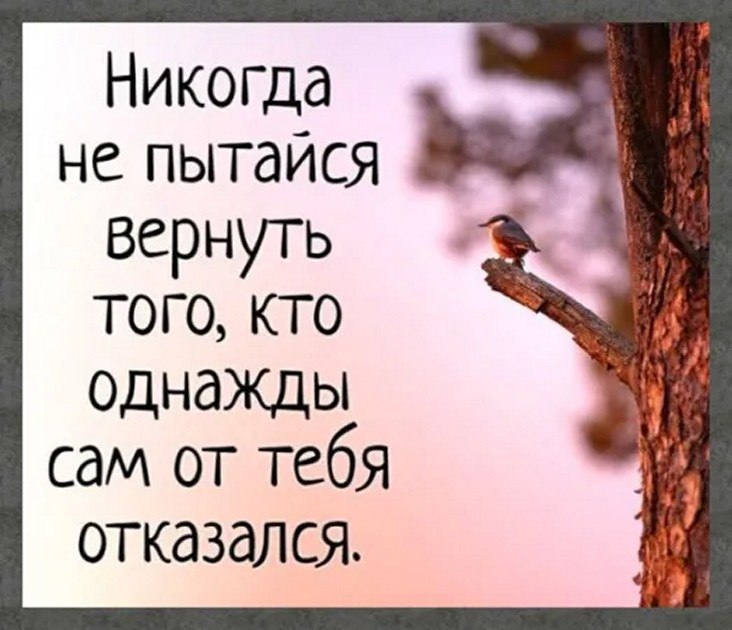 ☆ ☆ - 20  2025  04:27