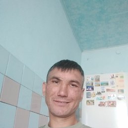 , 33, 