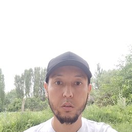 , 29, 