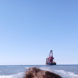 , 37, 