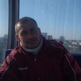 , 53,  