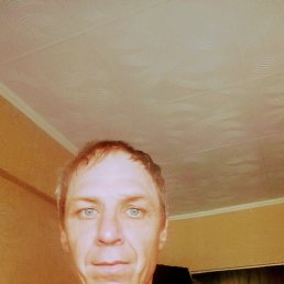 , 37, 