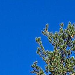 �����, �����, 55 ���