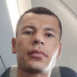 �����, �����������, 33 ����