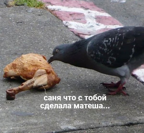    - 23  2024  13:39