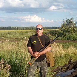 ����, ���, 54 ����