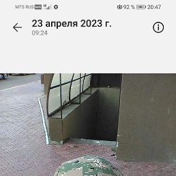 ������, ������, 50 ���