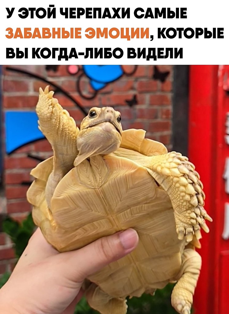 ��� ��������� �������� ����� ���������� ������ ������ � �����������. �� ����� ������� ��� ��������� ...