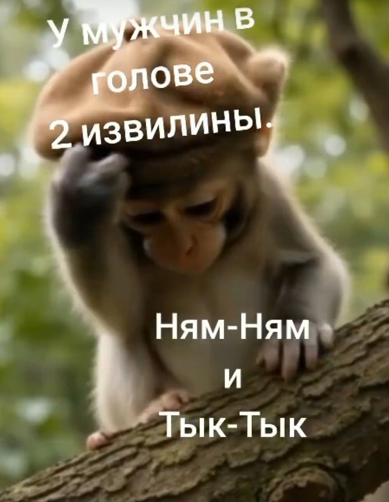  - 20  2025  16:13