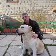 , 35 , 