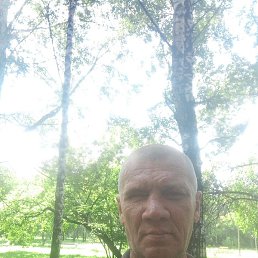 ���� �������, �����������, 46 ���