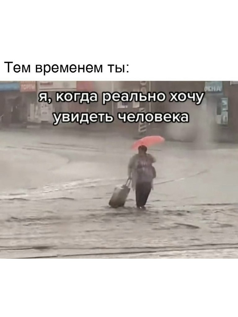 �������. - 4 ����� 2026 � 12:22 - 2