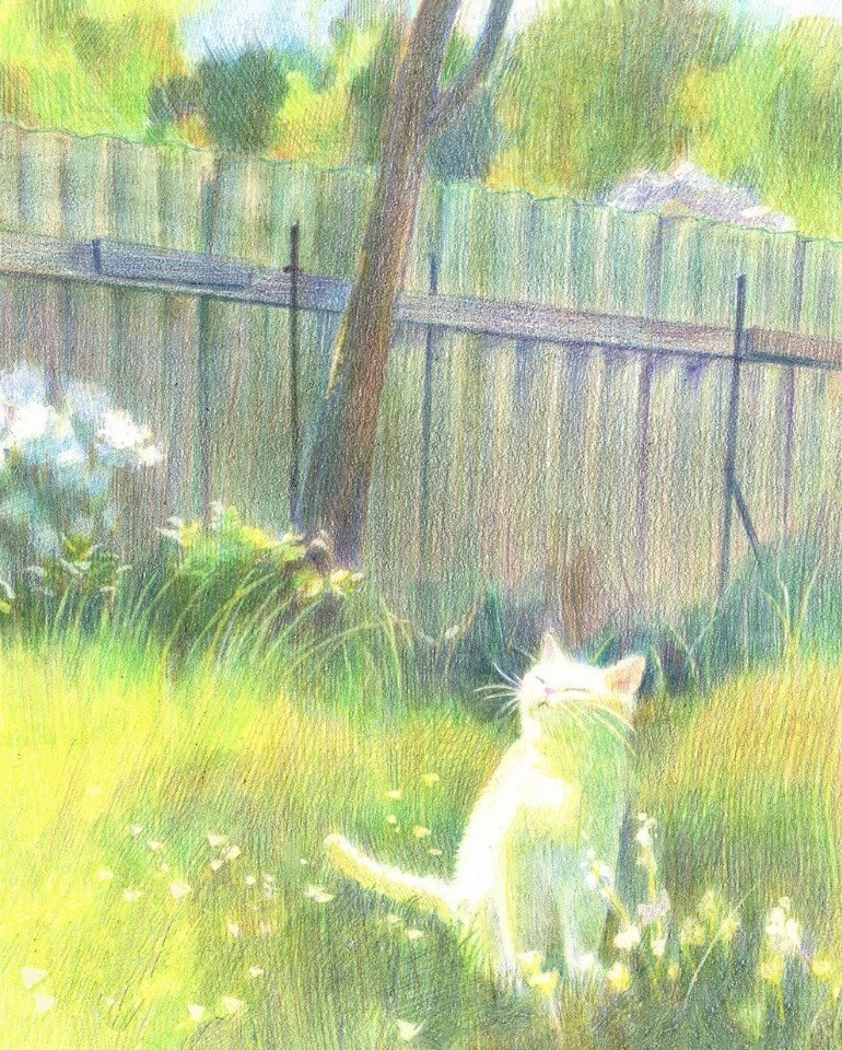  o   o .    o   oo.     o. ...