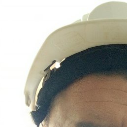 ������, ������, 43 ����