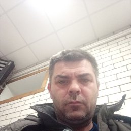 �������, 41 ���, �������