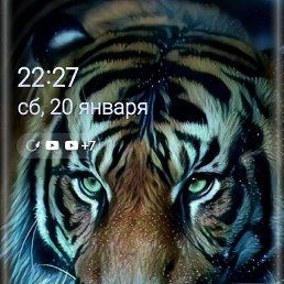 ���� ������, ������, 47 ��� - ��������� 21 ������ 2024