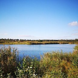 �������, �����������, 56 ���