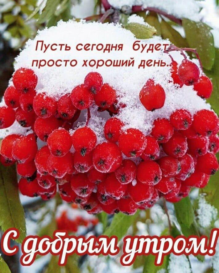 ***Victoria Viktorovna*** - 4  2024  06:23