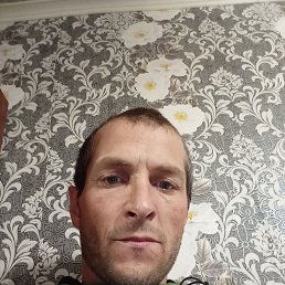 , 37, -