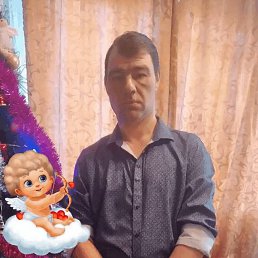 , 41, 
