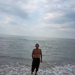 , 43, 