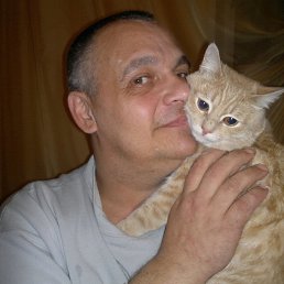 , 51 , 