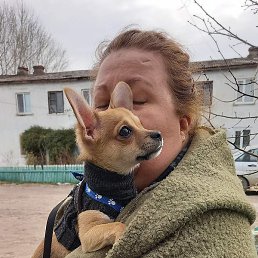 ������� ���������, ������, 53 ����