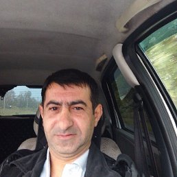 ����, 41 ���, �����������