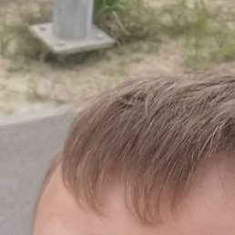 , 31, -