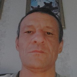 ����, �������, 46 ���