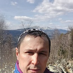 , 43, 