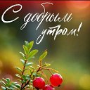 ���� �������., ��������� - ��������� 6 �������� 2025 � ������ �������� ��������