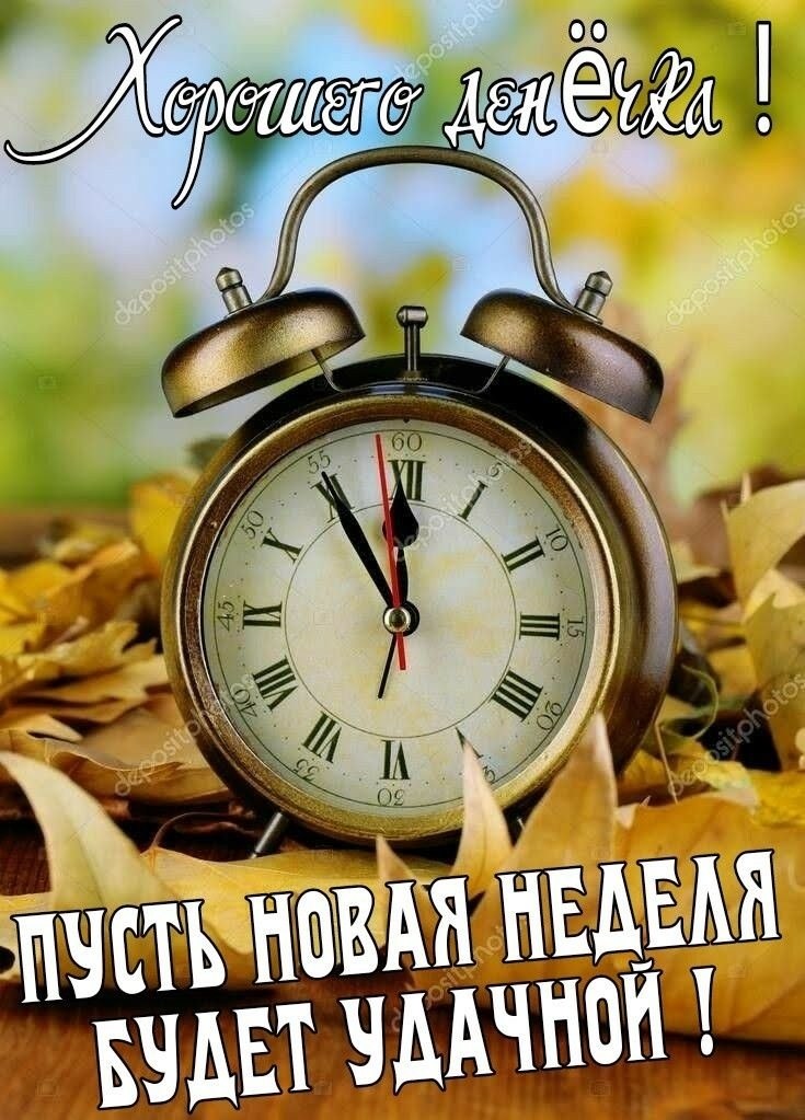 ПРИВЕТСТВИЯ и ПОЖЕЛАНИЯ, открытки на каждый день. - 26 октября 2025 в 22:51