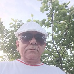 , 51, 