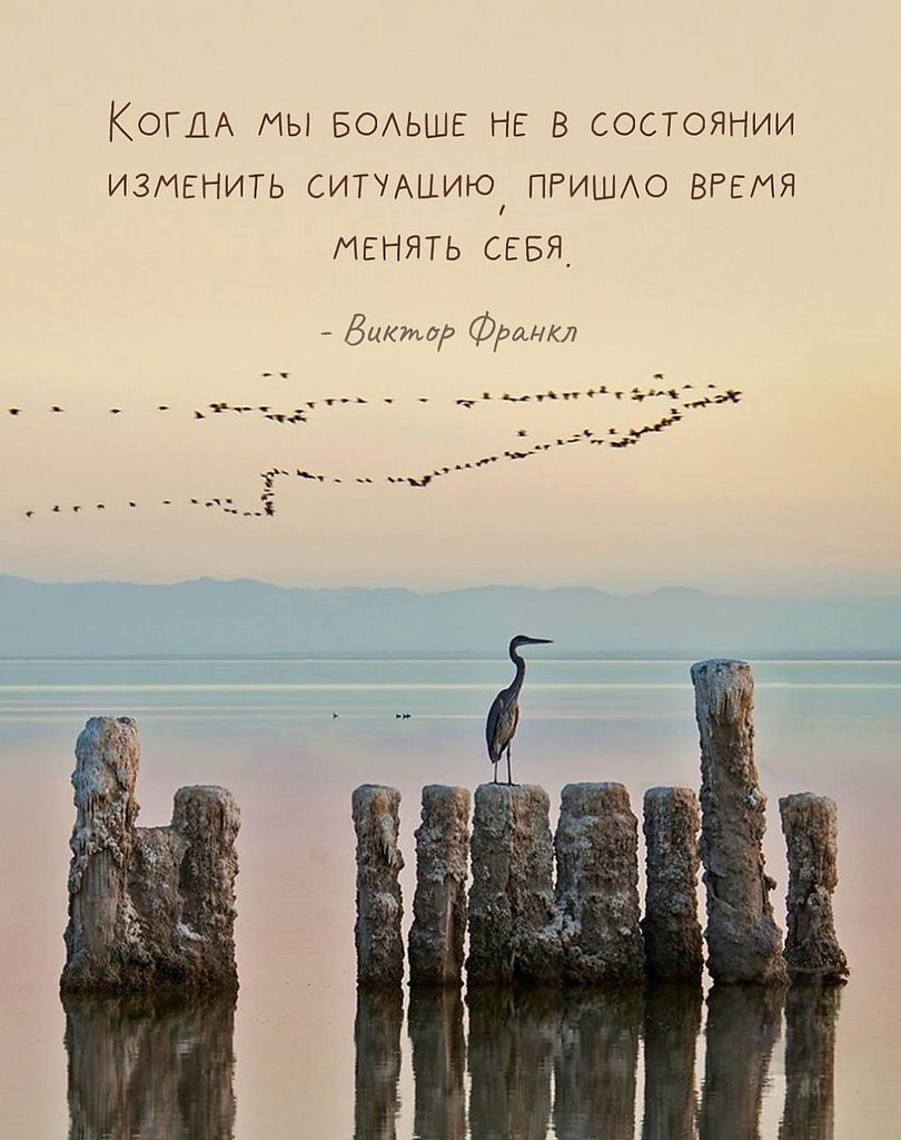 ������ | Wisdom & Beauty - 18 �������� 2025 � 17:55 - 9
