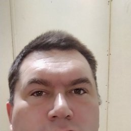 �����, 42 ����, �������