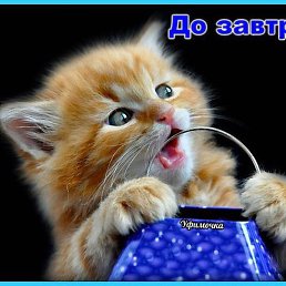 ���, ������, 79 ���