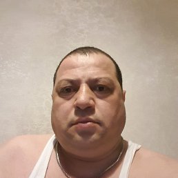 , 44, 