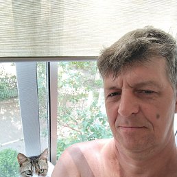 , 53, 